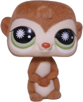 #0819 Meerkat